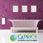 Our New Caprice Plumbing Website Is Finished